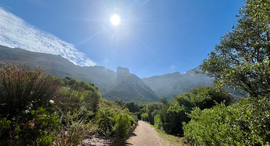 Kirstenbosch Kaapstad